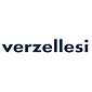 logo-verzellesi-portfoglio-civert