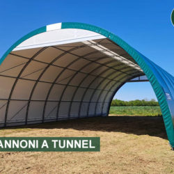 Tunnel mobile in PVC per azienda agricola alimentare